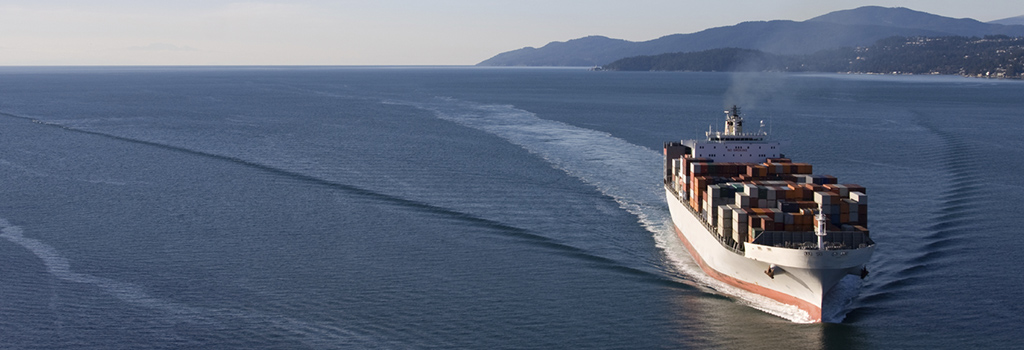 Allied Partners Shipping, brings a new era in the specialized handling of your commodity cargoes!
